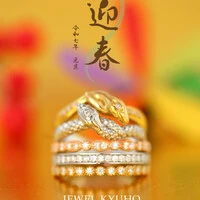 画像251